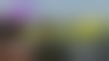 Zero To Hero - The Trials Of Taviana - A2 Origins Mod [ Ep 9 ]