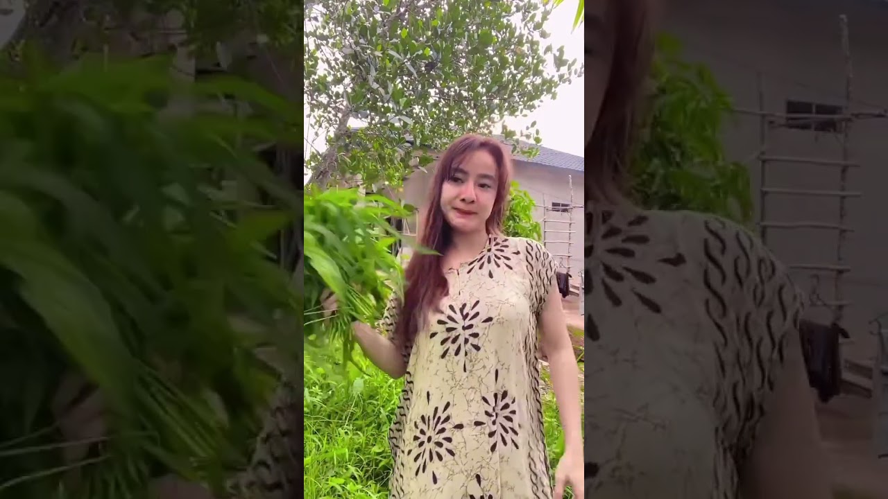 Lagi petik daun ubi #berkebun #fyp #jangkuanluas 