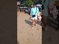 Hidden Goa Arambol Beach | Goa’s Scenic and Peaceful #RussianPlaceGoa #beach #viralvideo