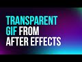 How to export transparent gif animation from after effects  quick tutorial