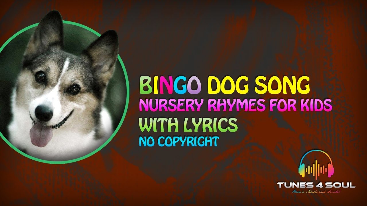 Nursery Rhymes for Kids Bingo Dog Song with Lyrics (No Copyright