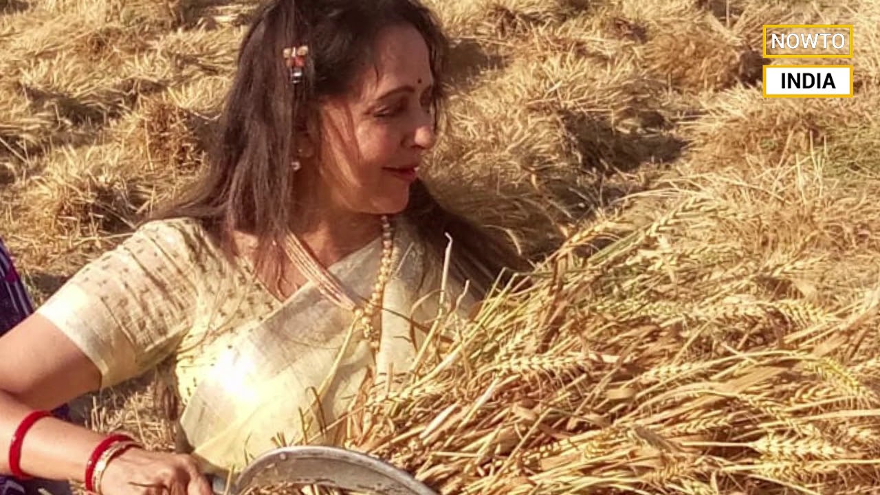 Hema Malini harvests 'crop of vote'