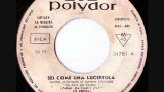 Joe Fedeli - Sei Come Una Lucertola