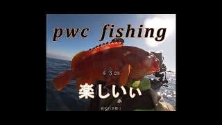 pwc　fishing　　　2019.12.1