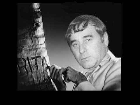 რაჯის სერენადა_ ვიდეოსა და იდეის ავტორი ელბერდი ჩაფიჩაძე