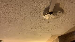 IMG 5216 00:45 29 APR 2026
