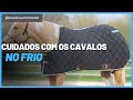 Como cuidar dos cavalos NO FRIO.     Dicas importantíssimas!! | M.V Rafaela Joveliano