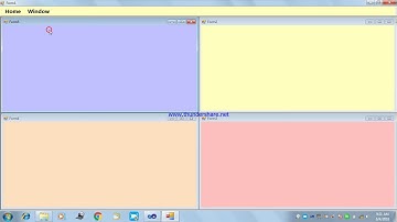 .net C# - MDI form video 2