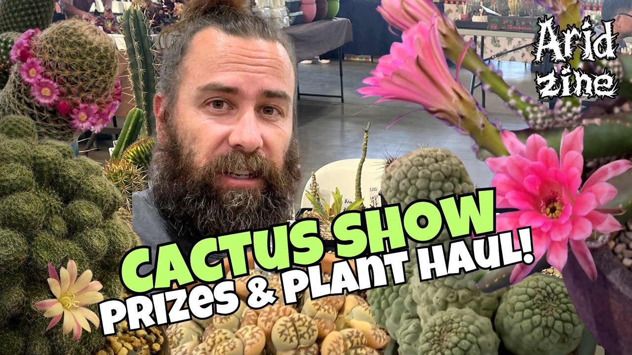 Редкие кактусы, огромный урожай растений и мои суккуленты-чемпионы