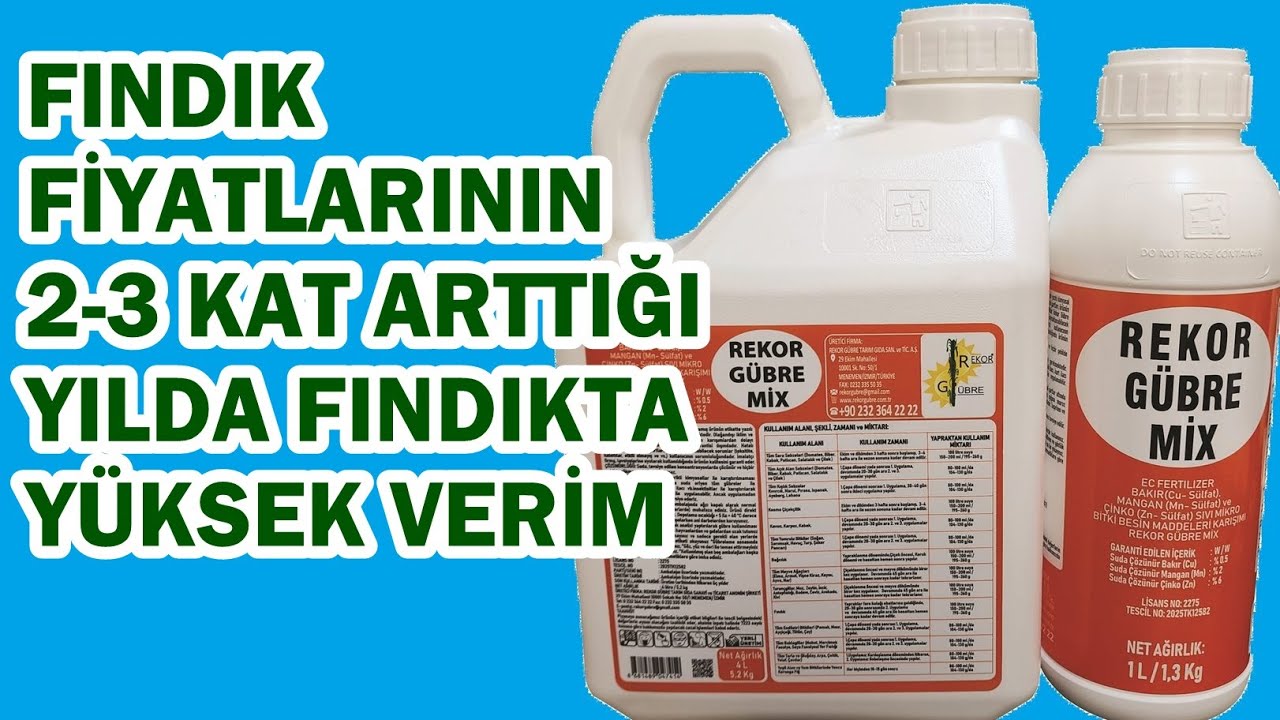 Fındıkta Yüksek Verim için Yaprak Gübresi