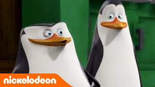 Die Pinguine aus Madagascar | Popcorn Panik! | Nickelodeon Deutschland