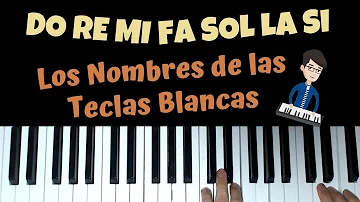 ¿Cómo se llaman las teclas blancas de un piano?