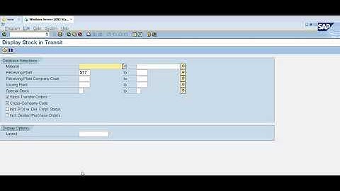 How To Generate Goods In Transit (GIT) Report In SAP | SAP Goods In Transit Report | SAP MB5T