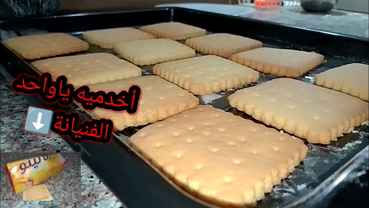 قاطو ساهل2026