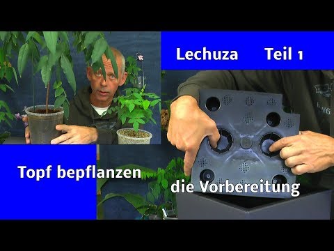 Video: Selbstbewässerungs Delta 20 Pflanzer