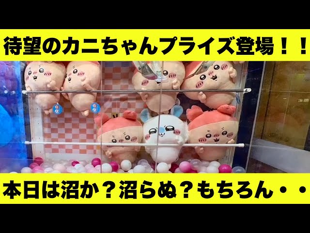 ちいかわ】待望のカニちゃん（古本屋）がプライズに登場！！BIG