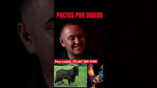 Para trabajo 52 667 380 3740 #paranormal #brujolandia #demonios #mexico