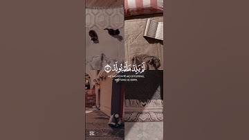 #القرآن #راحة_نفسية #سعد_الغامدي #سورة_الإخلاص