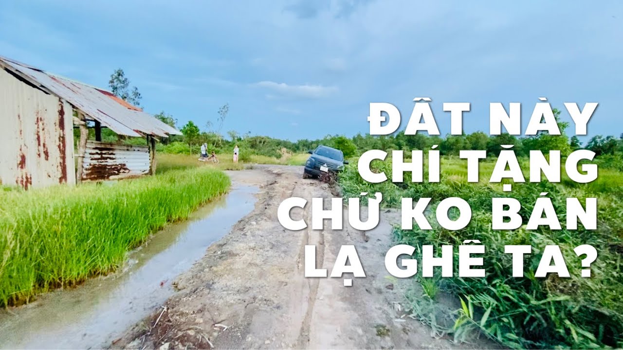 Anh Hùng muốn tặng mảnh vườn 4632m2 ở Nhơn Trạch cho... - youtube