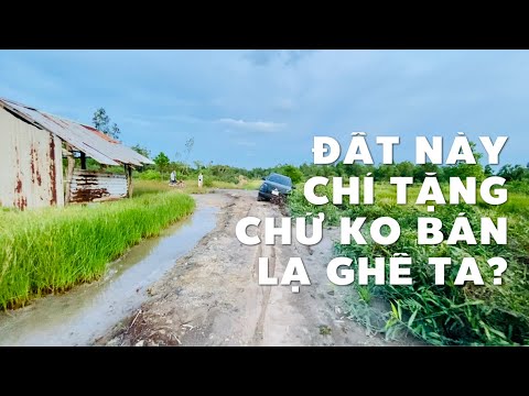 Video Anh Hùng muốn tặng mảnh vườn 4632m2 ở Nhơn Trạch cho... - youtube