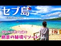 【セブ島】ジンベイザメ遭遇率99%！？セブで一番の透明度を誇る海（オスロブ/スミロン島/フィリピン旅行/Cebu island/Philippines Trip Vlog）#2