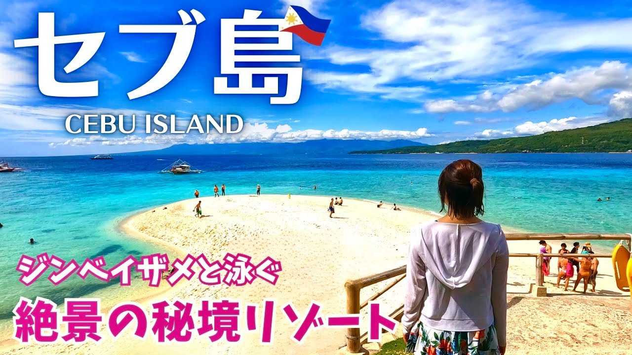 【セブ島】ジンベイザメ遭遇率99%！？セブで一番の透明度を誇る海（オスロブ/スミロン島/フィリピン旅行/Cebu island/Philippines Trip Vlog）#2
