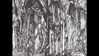 Video thumbnail of "Sunn O))) - Orthodox Caveman"