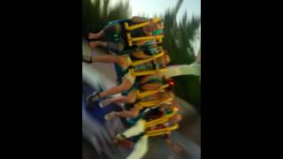 ,,To Nie Jest Dla Ludzi O Słabym Żołądku