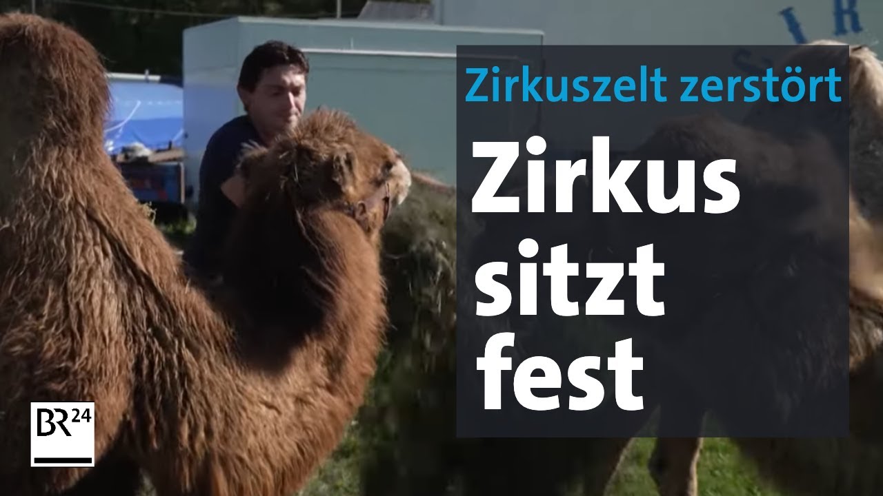 Zirkus sitzt nach Sturm seit Monaten fest | Abendschau | BR24