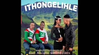 ITHONGELIHLE:Iphupho lami ukusebenza noMdumazi