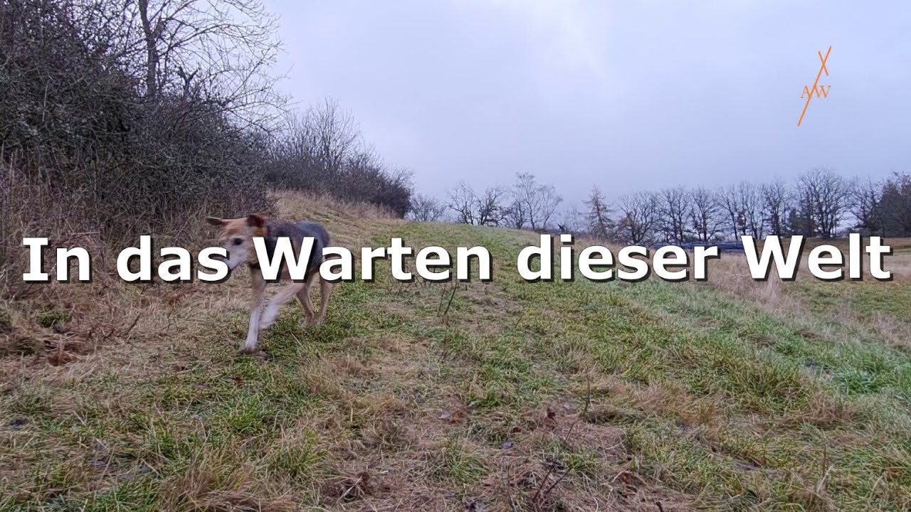 in das warten dieser welt