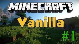 LA MIA NUOVA VANILLA DI MINECRAFT