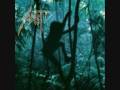 SADIST - TRIBE