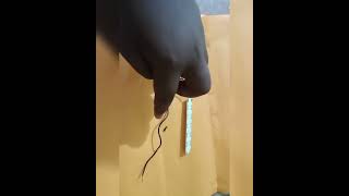 making rechargeable cycle light at home trendingviral electronic science ytshorts  shorts
