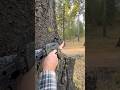ODS-1775 #shorts #fyp #fypシ #outdoors #adventure #hunting #targetpractice #deer #edc #762 #ak47