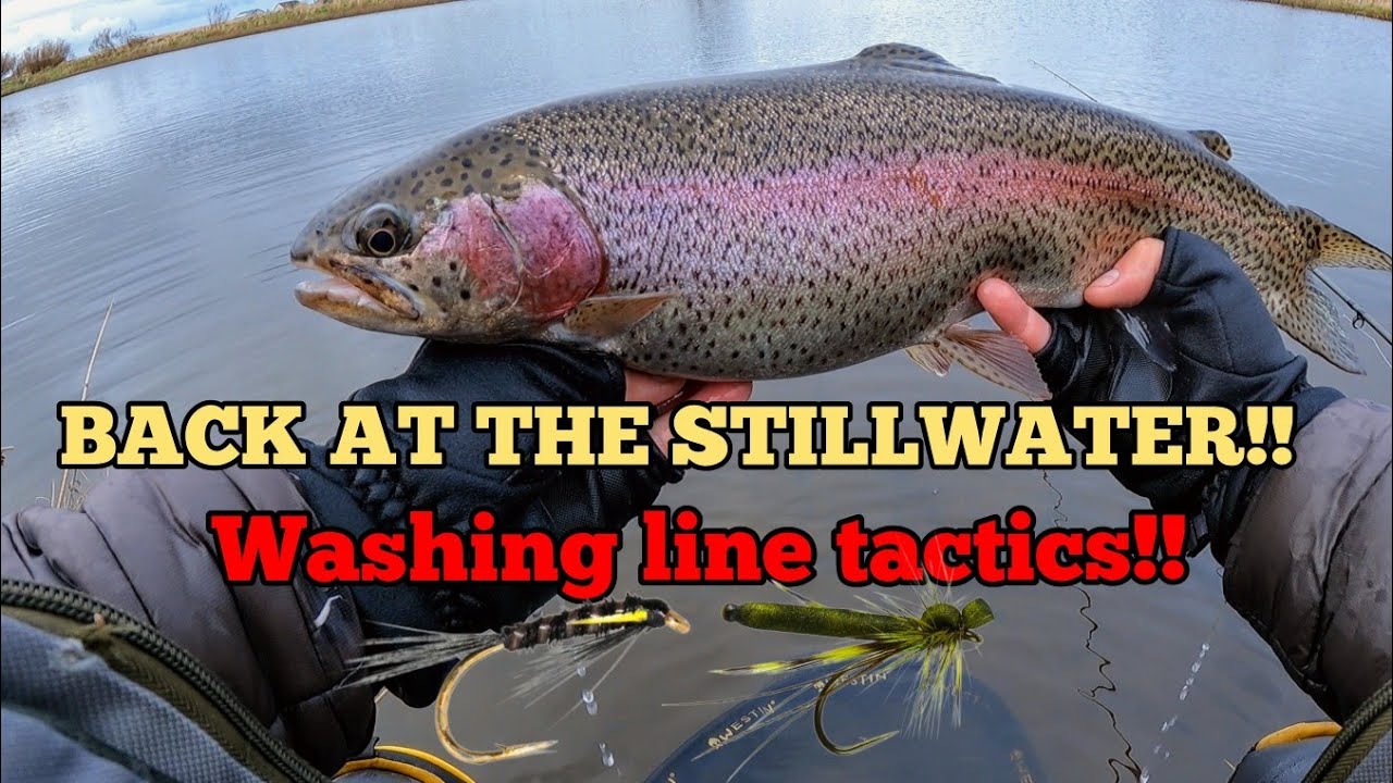 ОСЕННЯЯ ЛОВЛЯ РЫБЫ НАХЛЫСТОМ В СТОЯЧЕЙ ВОДЕ: Возвращаемся за радужной форелью после 7 месяцев отс...