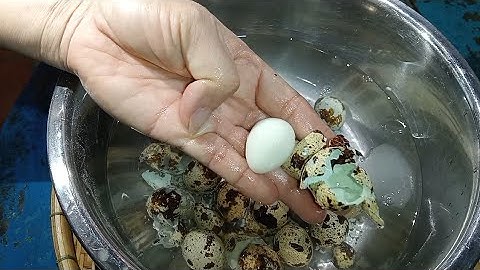 Bí kíp luộc trứng cút dễ lột vỏ tróc lóc