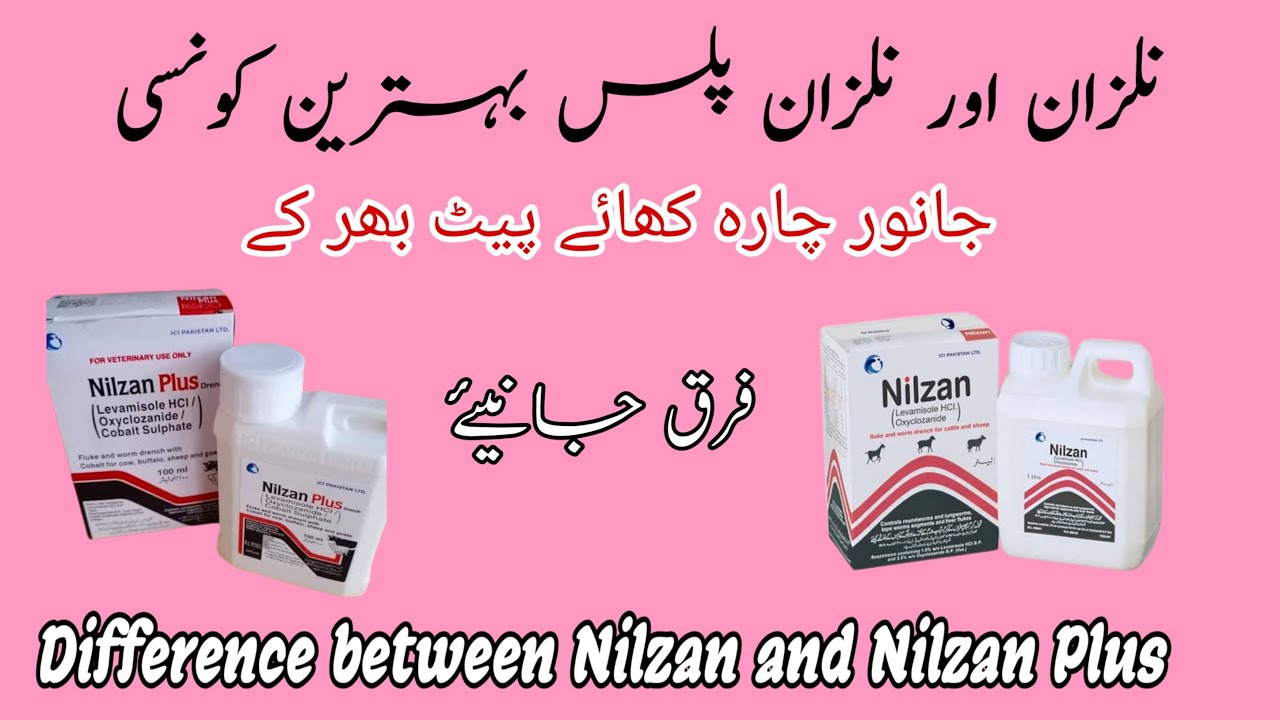 Difference Between Nilzan And Nilzan Plus | Best Dewormers Use For Dairy Animals