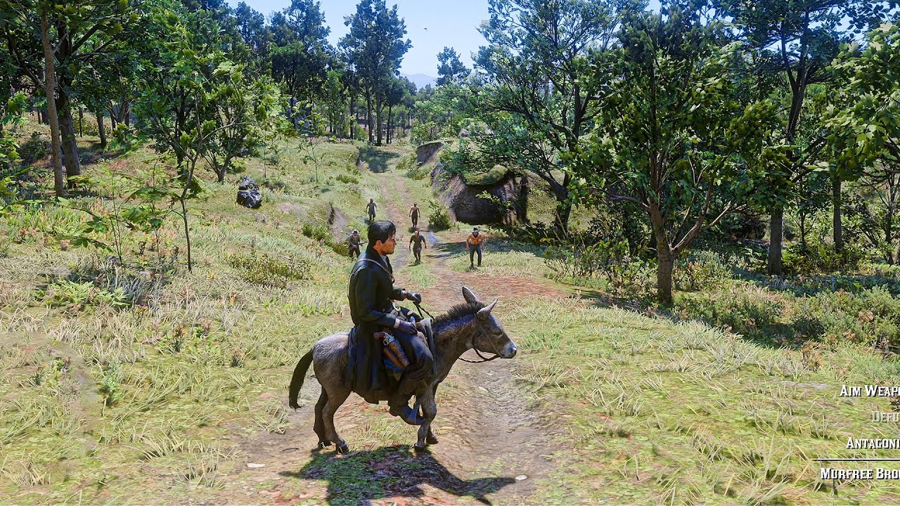 Some players actually would try something like this with these npcs ...