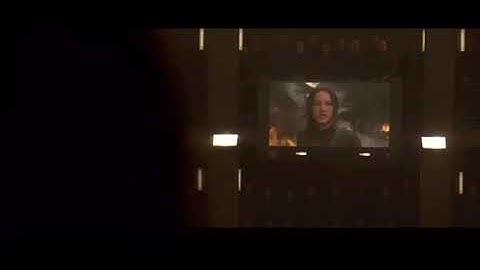 Mockingjay District 8 Official Propo