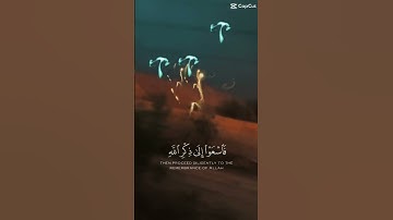 #ياسر الدوسري#سورة الجمعة #آية ٩. #اكسبلور #لايك ❤️❤️‍🔥