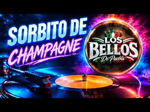 Sorbito de Champagne: El Éxito de Los Bellos De Puebla en 2026