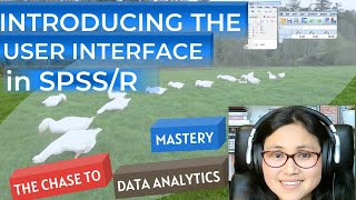 01 INTRODUCING THE USER INTERFACE IN SPSS/ R