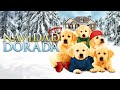 Navidad Dorada 🎄 | Películas Familiares y Aventuras en Español Latino