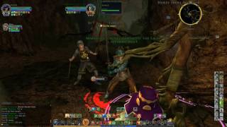 Lord of The Rings Online - Instance Leader of the Foul Woods