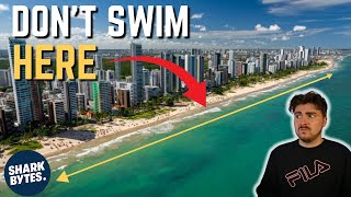The DEADLIEST 12 Mile Coastline on Earth (Recife Shark Attacks)