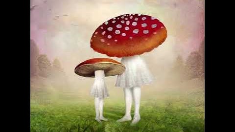 Imagination booster (Increase visualization subliminal)