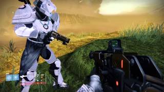 Destiny Funny Animation Glitch