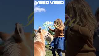 Peaceful Animals &amp; Children Dancing in a Free World (Consciousness Techno 432Hz)