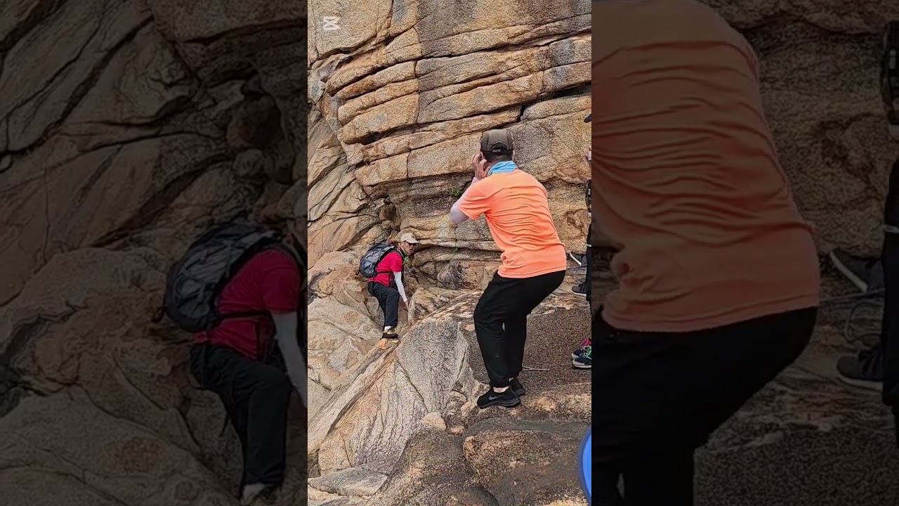 常在森：賀馬年南丫訪駿馬